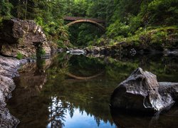 Stany Zjednoczone, Stan Waszyngton, Moulton Falls Regional Park, Rzeka Lewis, Most Moulton Falls Bridge, Rzeka, Kamienie, Las