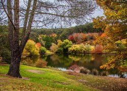 Mount Lofty Botanic Garden w Australii