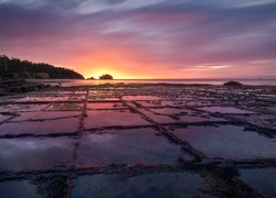 Wschód słońca, Morze, Mozaikowa skała, Tessellated Pavement, 
Zatoka Piratów, Eaglehawk Neck, Tasmania, Australia