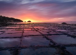 Wschód słońca, Morze, Mozaikowa skała, Tessellated Pavement, 
Zatoka Piratów, Eaglehawk Neck, Tasmania, Australia