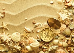 Muszelki i kompas na piasku