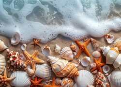 Fala, Brzeg, Plaża, Muszle