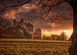 Muzeum Wollaton Hall na terenie wiejskiej rezydencji w Nottingham