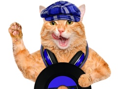 Muzykalny kot w czapce z płytą i słuchawkami