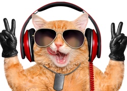 Muzykalny kot ze słuchawkami i w okularach przeciwsłonecznych