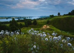 Wzgórza, Roślinność, Przegorzan kulisty, Drzewa, Rzeka Oka, Chmury, Wieś Konstantinovo, Obwód riazański, Rosja