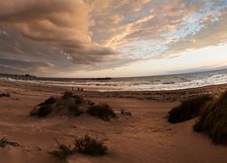 Zachód słońca, Plaża, Morze, Chmury, Piasek, Rośliny