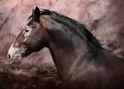 Namalowany koń z profilu