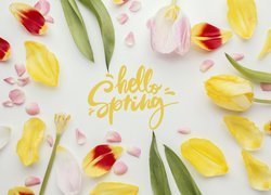 Napis Hello Spring pośród płatków tulipana