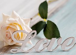 Napis love przy białej róży