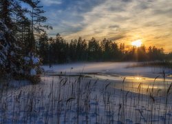 Zima, Rzeka, Las, Drzewa, Trawy, Śnieg, Zachód słońca, Rezerwat, Przyrody, Glaskogen, Arvika, Szwecja