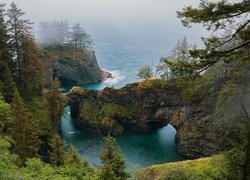 Natural Bridges Viewpoint w Oregonie