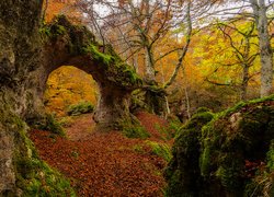 Naturalny omszały  łuk skalny w jesiennym lesie