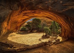 Skały, Nawajo Arch, Drzewa, Park Narodowy Arches, Stan Utah, Stany Zjednoczone