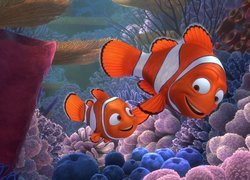 Film animowany, Gdzie jest Nemo, Finding Nemo, Ojciec, Marlin