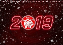 Nowy Rok, 2019, Rok, Świni