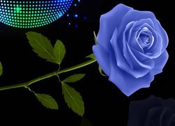 Niebieska róża na czarnym tle