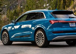 Niebieski, Audi E-tron