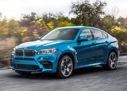 Niebieski BMW X6 M, F86