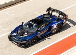 Niebieski McLaren Senna GTR