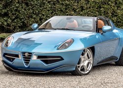 Alfa Romeo Disco Volante, Kabriolet