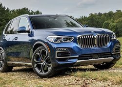 Niebieskie BMW X5 G05 na polnej drodze