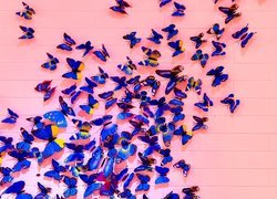 Niebieskie motyle w 2D