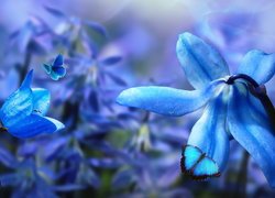 Niebieskie motylki i kwiatki