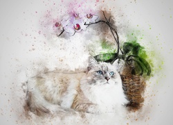 Kot, Storczyk, Paintography