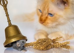 Niebieskooki kot obserwujący figurkę myszki pod dzwonkiem
