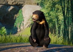 Czarny, Niedźwiedź, Gra, Planet Zoo