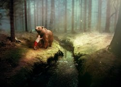 Niedźwiedź z dzieckiem w lesie nad potokiem