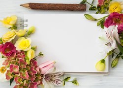 Kwiaty, Kompozycja, Notes, Ołówek, Hortensja, Tulipan, Lilia, Róże, Listki