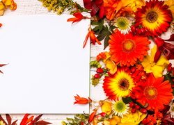 Liście, Kwiaty, Notes, Kompozycja