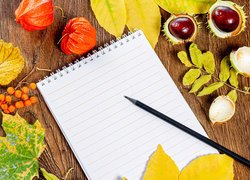 Notes z ołówkiem obok kasztanów i jesiennych liści