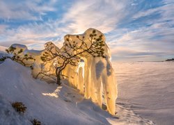 Zima, Ośnieżone, Oblodzone, Drzewko, Wschód słońca, Chmury, Zaśniezone, Jezioro Ładoga, Republika Karelii, Rosja