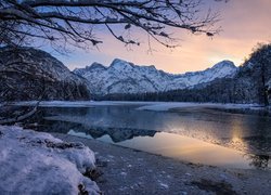 Austria, Góry, Jezioro, Almsee, Zima, Drzewa