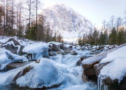 Oblodzone kamienie w górskiej rzece