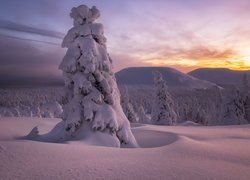 Zima, Śnieg, Drzewa, Góry, Zachód słońca