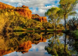 Cathedral Rock, Skały, Odbicie, Rzeka Oak Creek, Drzewa, Sedona, Arizona, Stany Zjednoczone