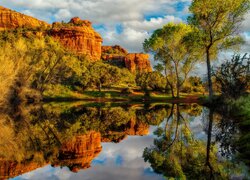 Odbicie Cathedral Rock w Sedonie i drzew w rzece Oak Creek