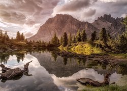 Góry, Dolomity, Jezioro, Lago Limides, Drzewa, Odbicie, Włochy