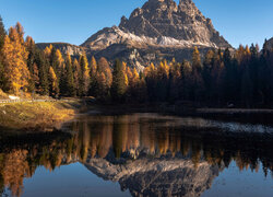 Odbicie Dolomitów i pożółkłych drzew w jeziorze Lake Antorno