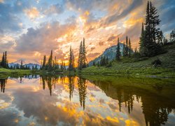 Park Narodowy Mount Rainier, Góry, Jezioro, Tipsoo Lake, Drzewa, Stan Waszyngton, Stany Zjednoczone