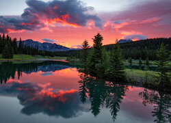 Kanada, Alberta, Park Narodowy Banff, Jezioro, Las, Drzewa, Góry, Niebo, Zachód słońca, Chmury