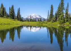 Jezioro, Tipsoo Lake, Góry, Odbicie, Drzewa Park Narodowy Mount Rainier, Stan Waszyngton, Stany Zjednoczone
