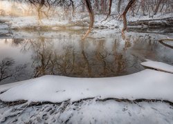 Odbicie drzew w rzece zimową porą