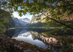 Austria, Góry, Dachstein, Jezioro, Gosausee, Drzewa