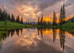 Odbicie gór i drzew w jeziorze Tipsoo Lake