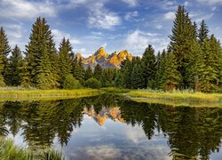 Park Narodowy Grand Teton, Wyoming, Stany Zjednoczone, Góry, Rzeka, Drzewa, Odbie